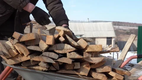 Construction worker loading firewood into wheelbarrow in rural area Stock Footage 309055812