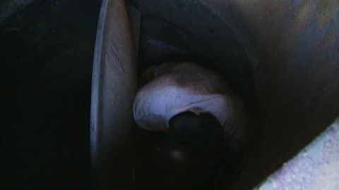 Construction worker or welder climbing through metal work and tubes 5 Stock Footage 123721147