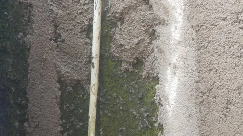 A construction worker is plastering a wall Stock Footage 333343605