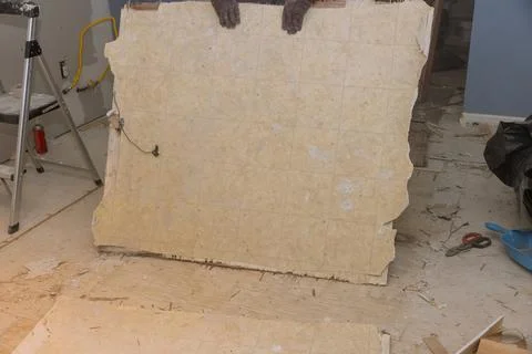 Construction worker remove old laminate floor for repairing and installing pa Stock-Fotos