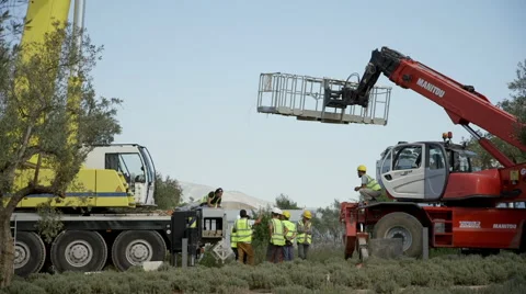 Construction workers on the field having a problem,troubleshooting Stock Footage 54458925