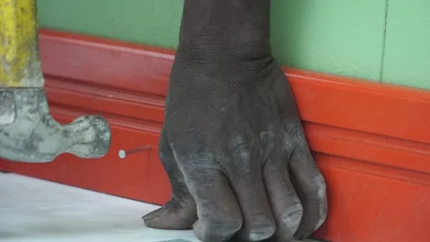 Construction Workers on the job 스톡 동영상 137625271