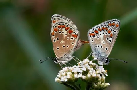 Contact Stock Photos