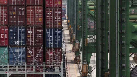 Container and cranes Stock Footage 1983208