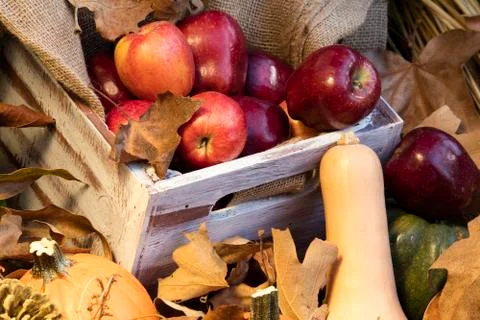 Container of Apples and Pumpkins Foto stock