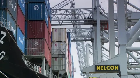 Container Being Lifted at Busy Rotterdam Port, Logistics Hub Vídeos de archivo 314302982