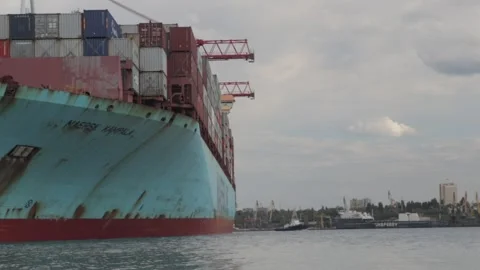 Container cargo ship load in the seaport. Stock Footage 130212304
