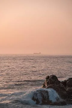 Container cargo ship in the ocean with copy space. Foto stock