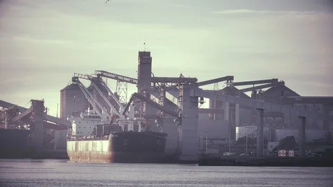 Container Cargo ship working at dusk Stock Footage 116664379