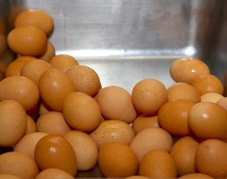 Container with a chicken eggs Foto stock
