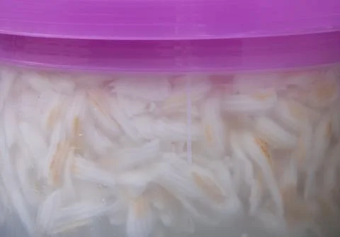 A container of coconut is filled with water Stock Photos