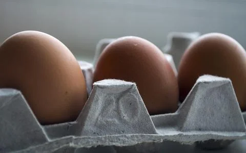 The container contains three eggs. The eggs are fresh. Stock Photos