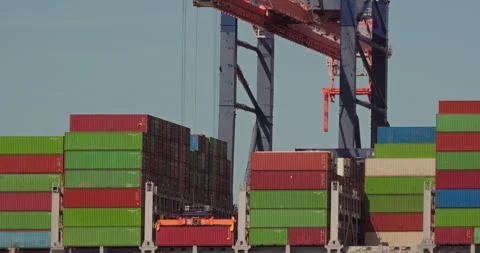 Container Crane Operations at Busy Port Stock Footage 304297195