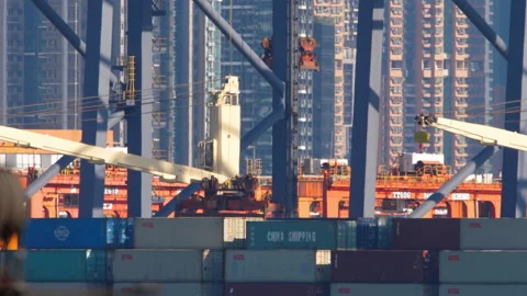 Container cranes loading cargo ship at Hong Kong port terminal 스톡 동영상 340289389
