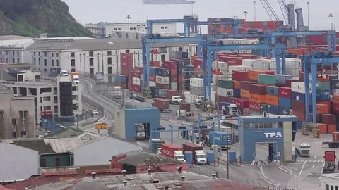 Container cranes at seaport Stock Footage 77044677