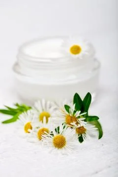 Container with cream and chamomiles Stock Photos