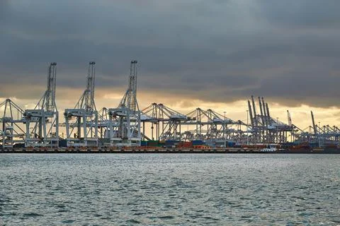 Container Dock in Rotterdam Stock Photos