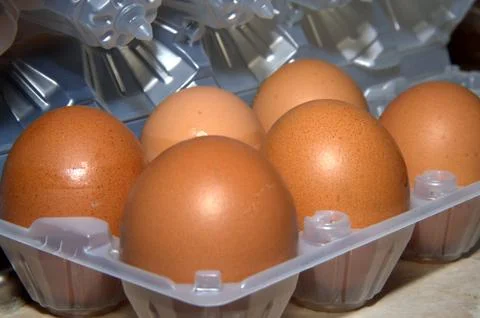 A container of eggs Stock Photos