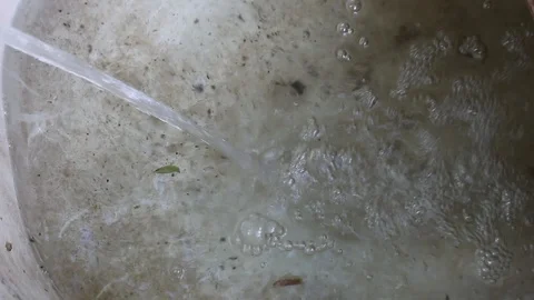 Container is filled with dirty water. Watering the garden, accumulating water. Stock Footage 113963261