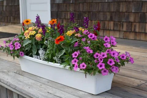 Container of Flowers Stock Photos