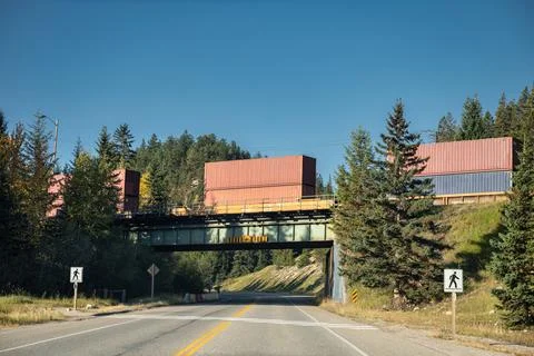 Container freight train passing on railway crossing the road in the forest at Stock Photos