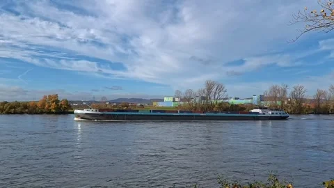 Container freighter sailing on the Rhine river in autumn Video stock 323315071
