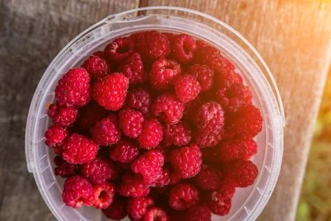 Container with fresh raspberry close up view 스톡 사진