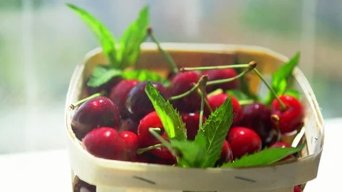Container of fresh ripe red cherries with mint Stock Footage 94054457
