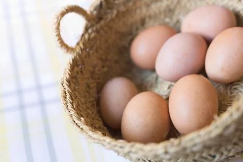 Container with freshly hens eggs. Stock Photos