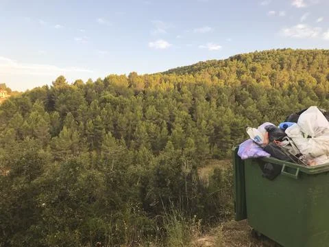Container full of garbage next to the natural park Foto stock