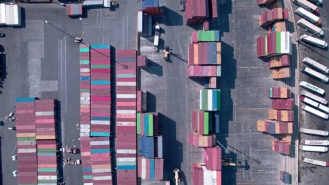 Container handler at cargo container warehouse Video stock 239077124