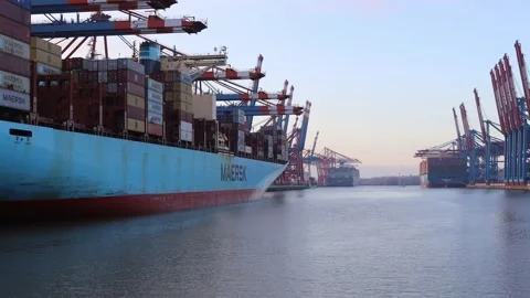 The container harbour with 3 container ships Stock Footage 231753254