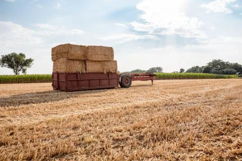 Container with hay bale Stock Photos