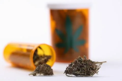 Container with leaf sign Stock Photos