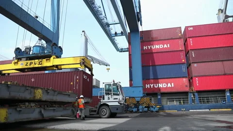 Container loading process at busy port in afternoon light Stock Footage 318203175