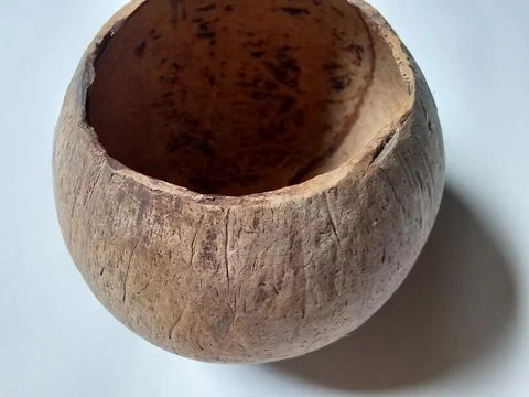 Container made of coconut shell, on a white background. Photos