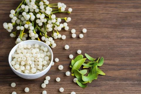 Container with mistletoe fruit and branches Stock Photos