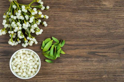 Container with mistletoe fruit and branches Stock Photos