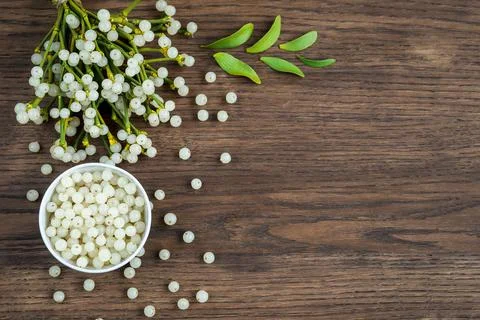 Container with mistletoe fruit and branches Stock Photos