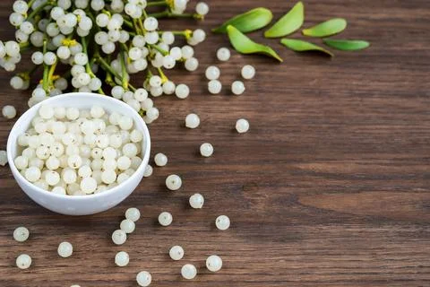 Container with mistletoe fruit Stock Photos
