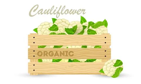 Container with natural product Stock Illustration