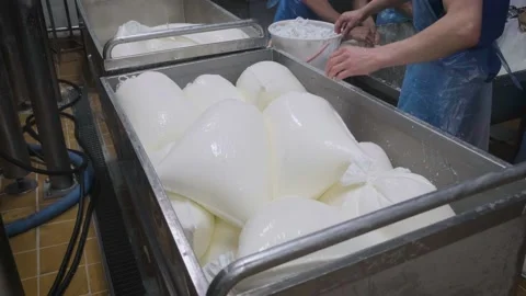 A container with packages with prepackaged cottage cheese. Stock Footage 161510356