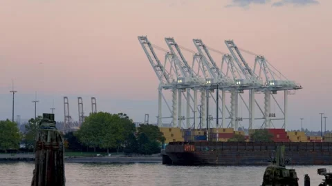 Container port and barges with large cranes at Seattle in Washington state .. Stock-Footage 320761362