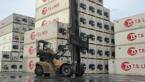 Container Port Logistics: T.S. Lines Container Handling Stock Footage 297097443