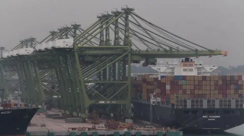 Container port singapor Stock Footage 1982407