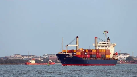 The Container Ship ALS SUMIRE Stock Footage 234466921