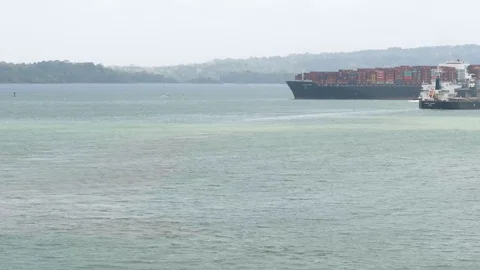 Container ship Bulk carrier and small boats on Gatun Lake in Panama Video stock 109125702