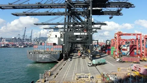 Container Ship docked at port during loading and unloading operation. Stock Footage 154292093