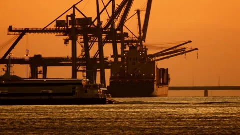 Container ship docking at sunset in a busy harbor Stock Footage 309813222