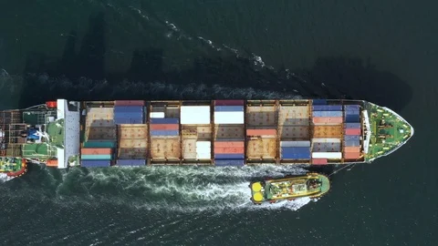 Container ship in export and import business and logistics. Stock Footage 99461291